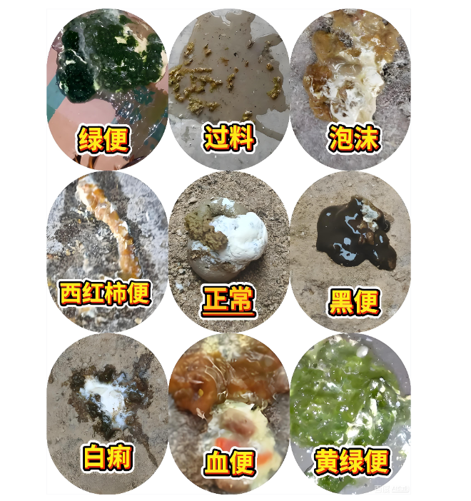 截图20251217095640.png 截图20251217095640.png