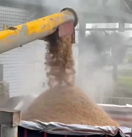 酒糟10.jpg 酒糟10.jpg