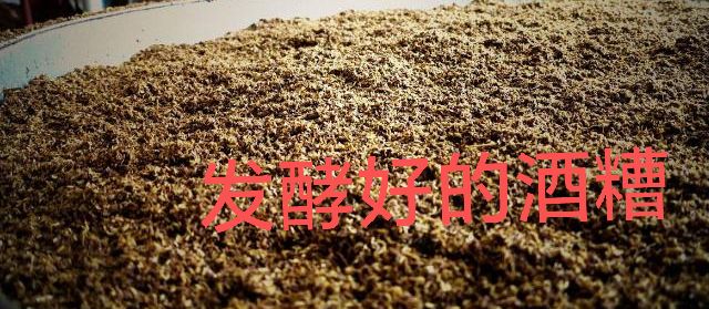 酒糟8.jpg 酒糟8.jpg