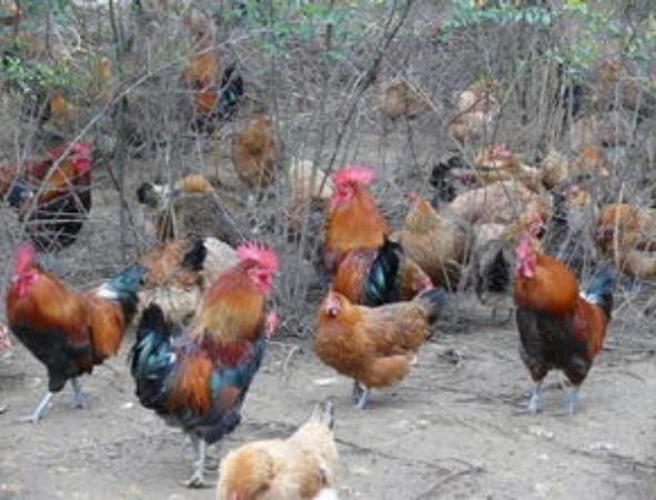 QQ图片20260106110523.png QQ图片20260106110523.png