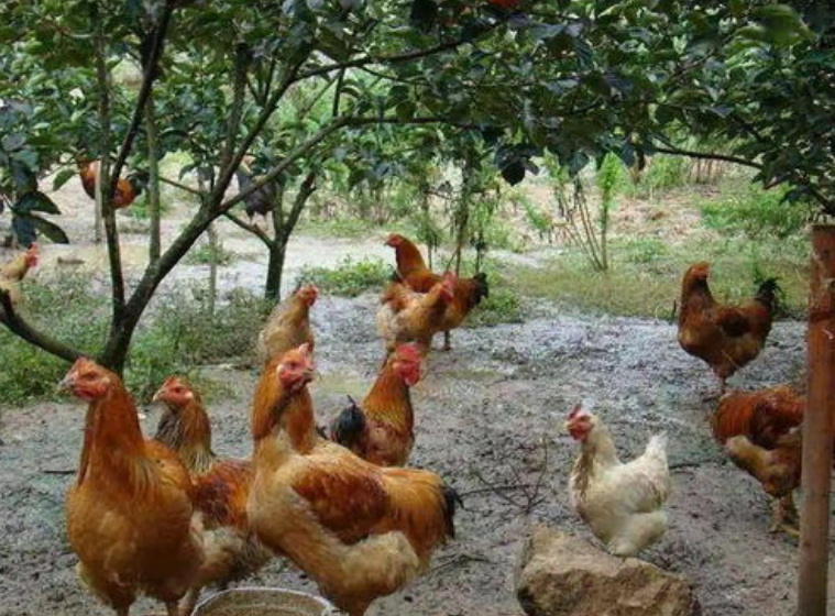 QQ图片20260106110658.png QQ图片20260106110658.png