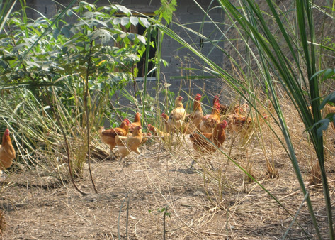 QQ图片20260106110607.png QQ图片20260106110607.png