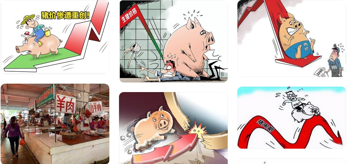 猪价低迷.jpg
