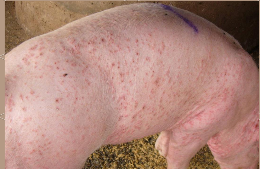 截图20260107102056.png 截图20260107102056.png