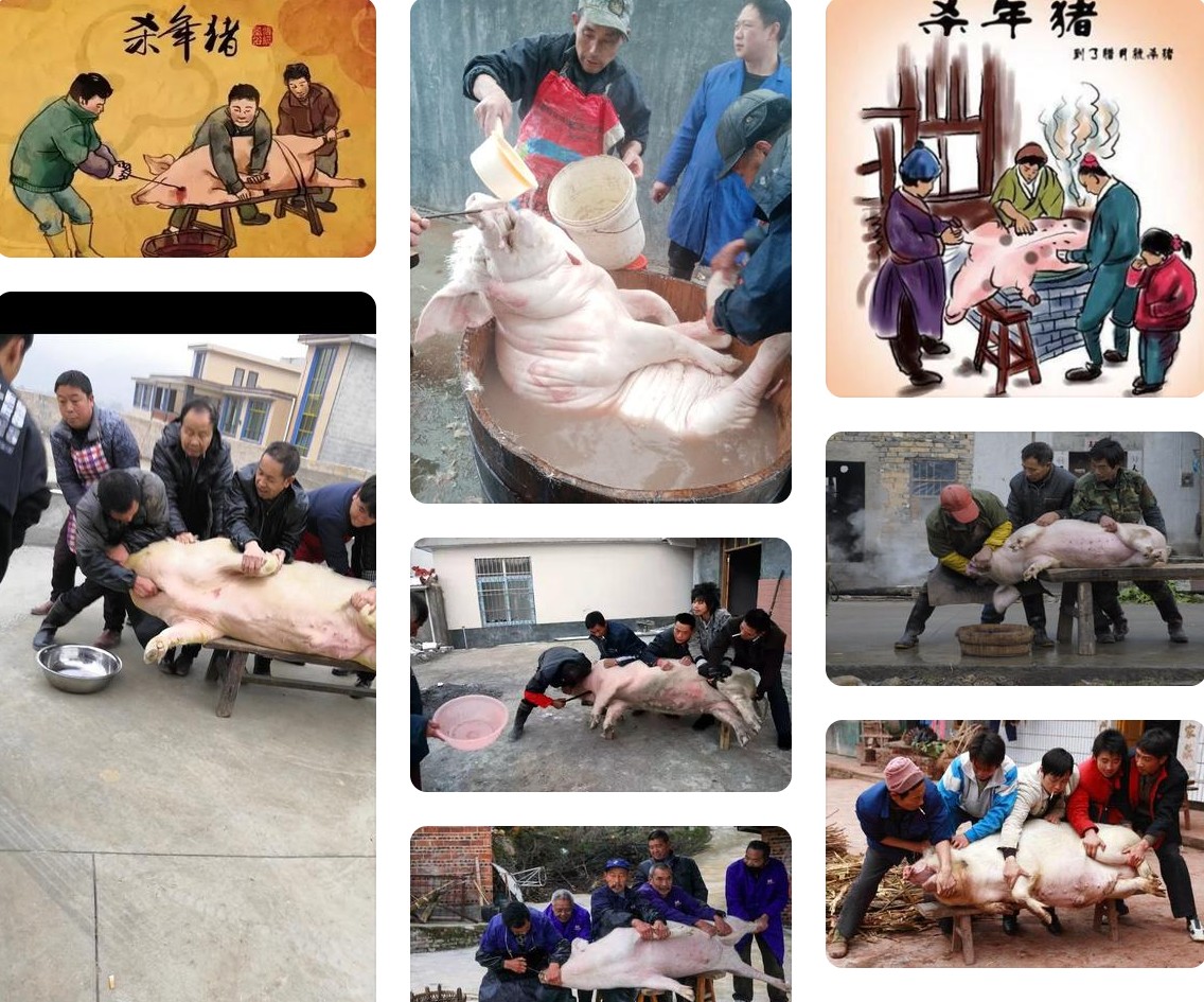 杀年猪2.jpg