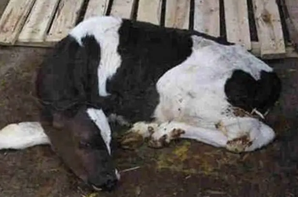 QQ图片20260113110818.png QQ图片20260113110818.png