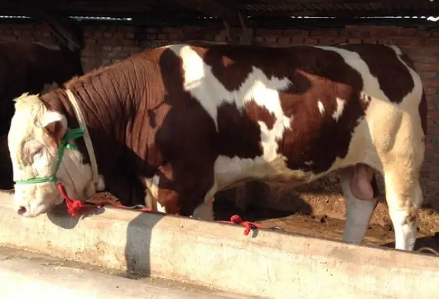 QQ图片20260113110912.png QQ图片20260113110912.png