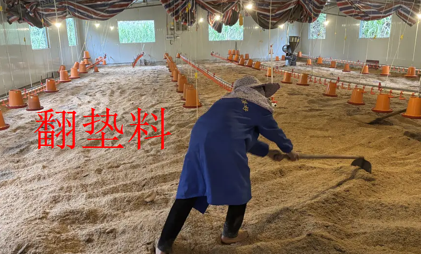 截图20260114090326.png 截图20260114090326.png