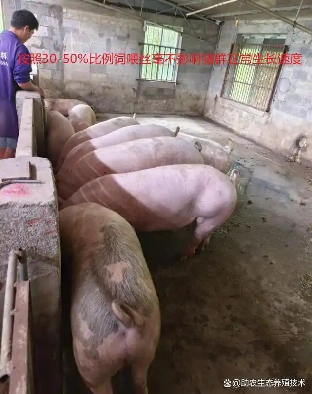 c958b25d92c63de6420928a26de84de2.jpg c958b25d92c63de6420928a26de84de2.jpg