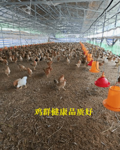 截图20260114090911.png 截图20260114090911.png