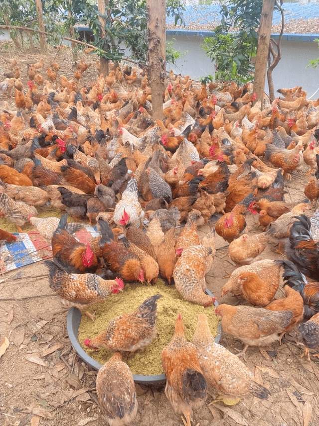 78dc7afe4962018f990d0d203e36eea8_720.jpeg 78dc7afe4962018f990d0d203e36eea8_720.jpeg