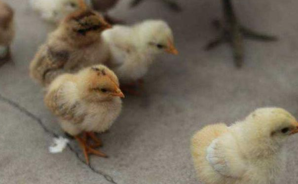 QQ图片20260119130603.png QQ图片20260119130603.png