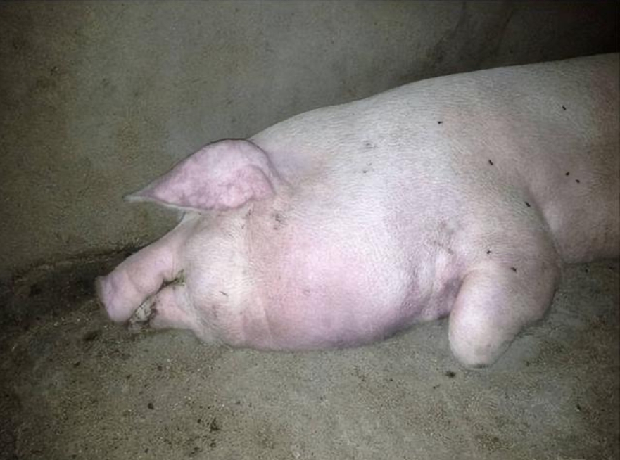 微信截图_20260120091915.jpg 微信截图_20260120091915.jpg