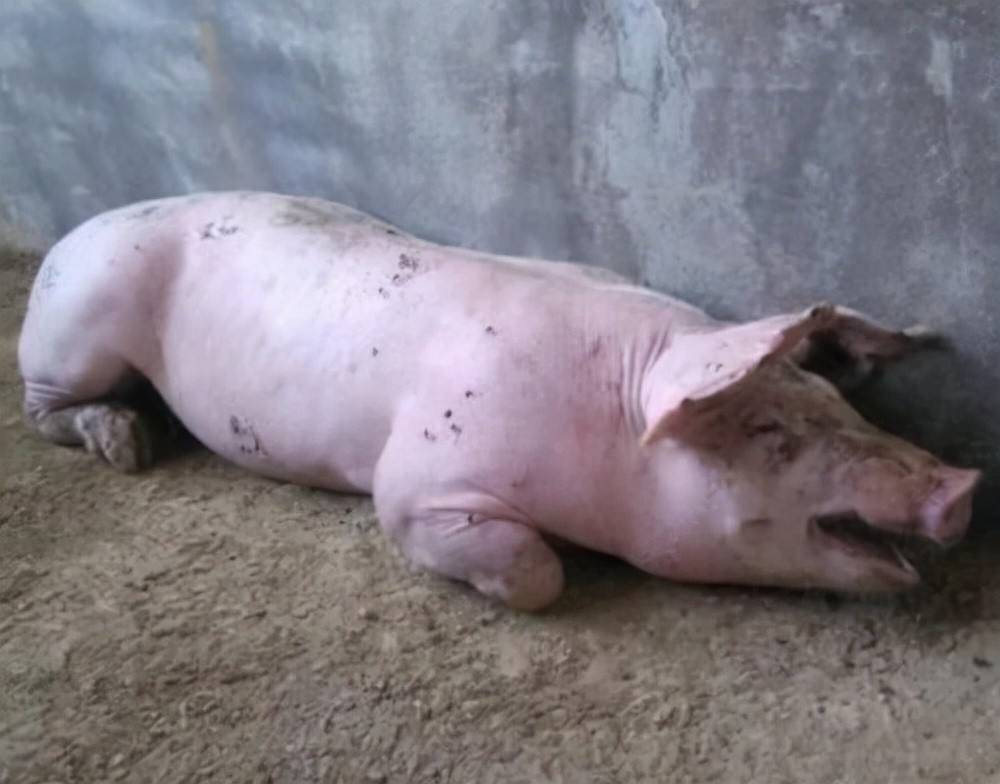 微信图片_20260120091821.jpg 微信图片_20260120091821.jpg