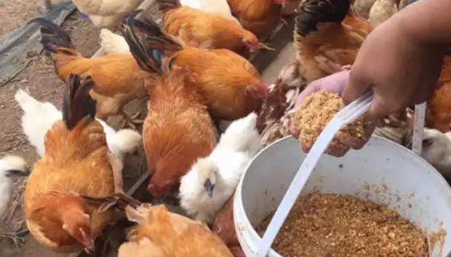 2e61cb6e7a9dcb651df75cf259f6289f.jpeg 2e61cb6e7a9dcb651df75cf259f6289f.jpeg