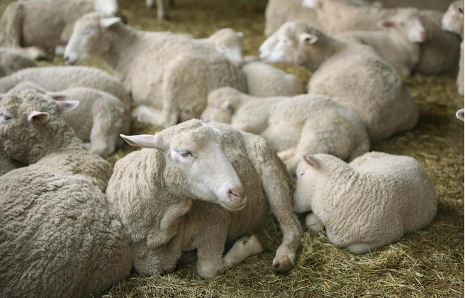 QQ图片20260121095926.png QQ图片20260121095926.png