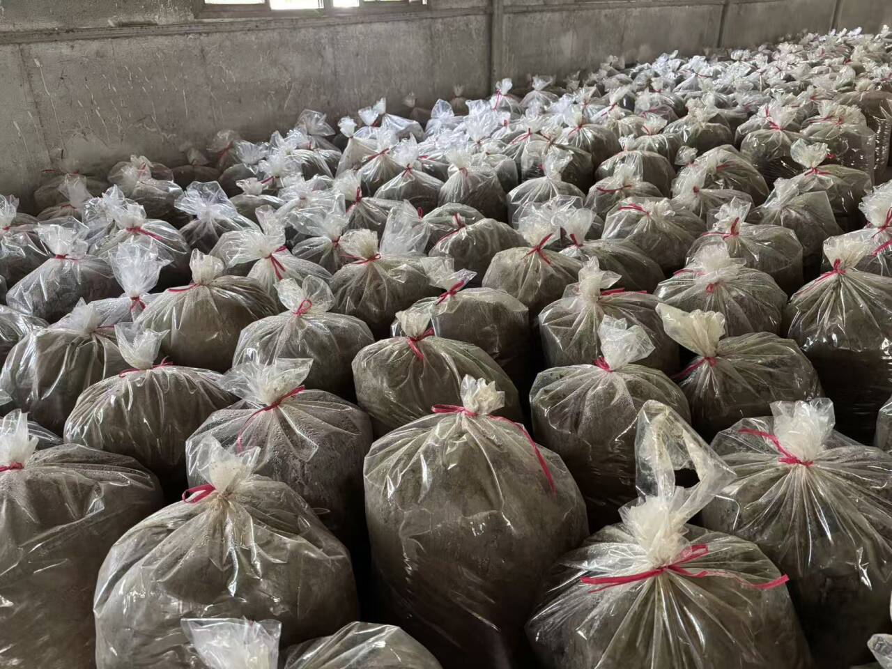 c0c76c6bce890f9c815a0ed6768e3e87_720.jpg c0c76c6bce890f9c815a0ed6768e3e87_720.jpg