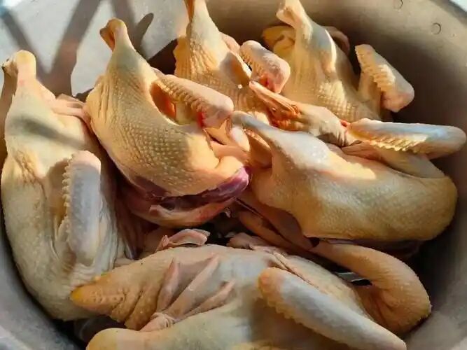 be43b4f28480af03fb07be6871b3c9dd.jpg be43b4f28480af03fb07be6871b3c9dd.jpg