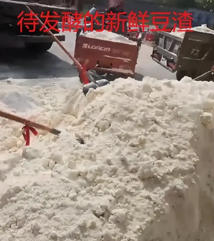 截图20260128090736.png 截图20260128090736.png