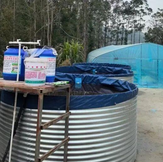 b61aa253843a2fbc6eec34485288d2d8.jpeg b61aa253843a2fbc6eec34485288d2d8.jpeg