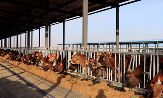 17700836282761487.png 17700836282761487.png