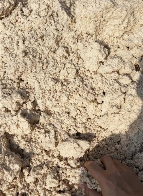 ff9ec3d3af177e023cbc94b01e73a148_720.png ff9ec3d3af177e023cbc94b01e73a148_720.png