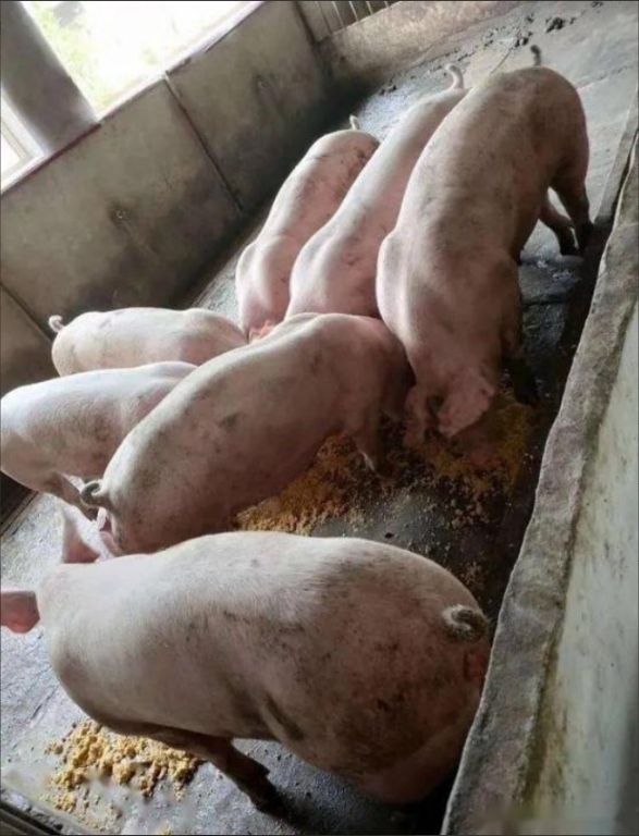 b6afbf88e5875f5980d24253b27533ea_720.png b6afbf88e5875f5980d24253b27533ea_720.png