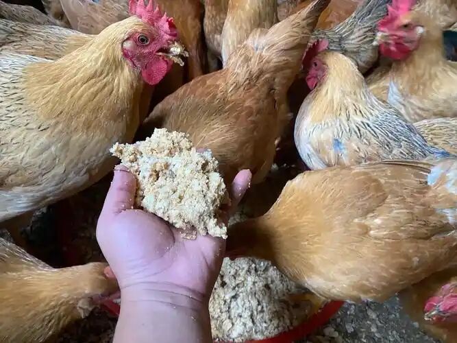 56760394fdf2b3fd33dbee0406280cb0.jpg 56760394fdf2b3fd33dbee0406280cb0.jpg