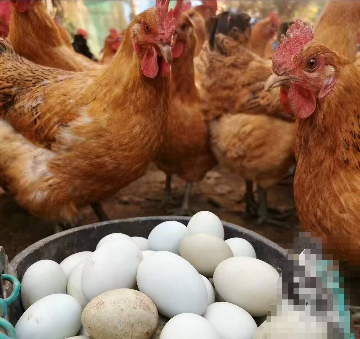 f085a10530cee0dfd5ec2c9dba1aae6b_720.jpg f085a10530cee0dfd5ec2c9dba1aae6b_720.jpg