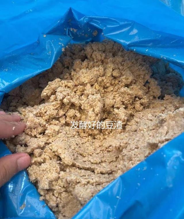 17241243249294645.jpg 17241243249294645.jpg