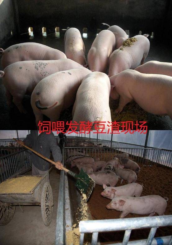 微信图片_20260226154310.jpg 微信图片_20260226154310.jpg