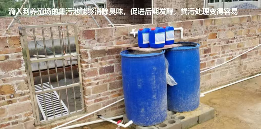 9891b617ba460af34af1b40dc4689030.jpg 9891b617ba460af34af1b40dc4689030.jpg