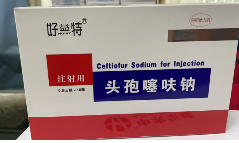 QQ浏览器截图20241223092632.png QQ浏览器截图20241223092632.png