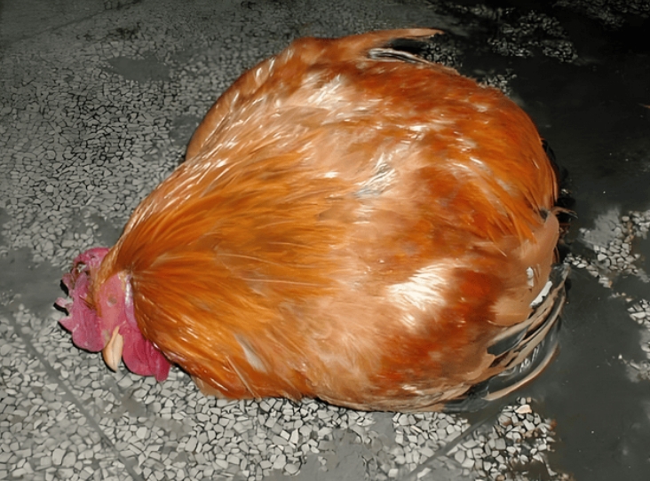 微信截图_20260303091102.jpg 微信截图_20260303091102.jpg