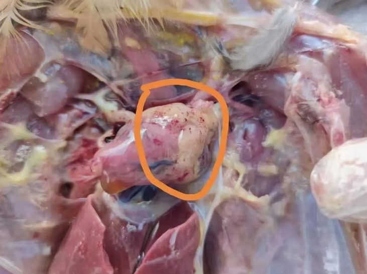 微信截图_20260303091119.jpg 微信截图_20260303091119.jpg