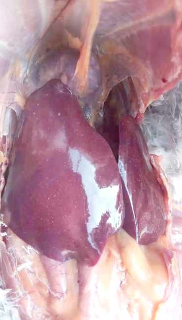 微信截图_20260303091135.jpg 微信截图_20260303091135.jpg