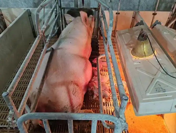 截图20260303092721.png 截图20260303092721.png