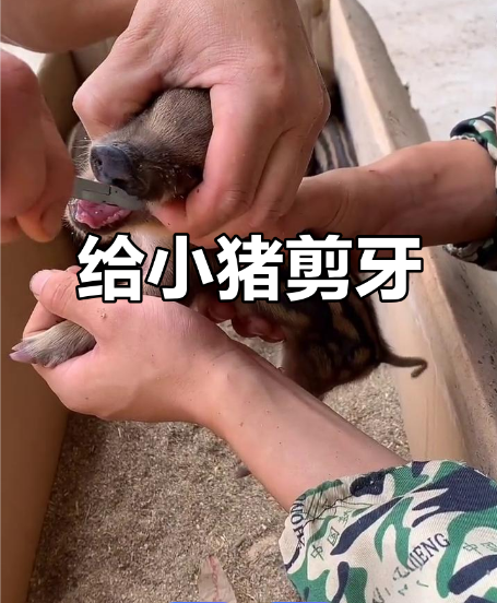 截图20260303094154.png 截图20260303094154.png