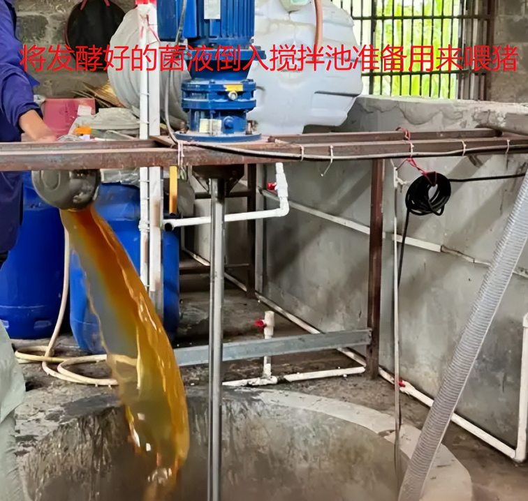 17421962018461058.png 17421962018461058.png