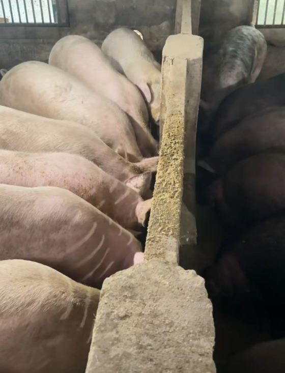 FD6D770063DB5BE72948170BB2456707.png FD6D770063DB5BE72948170BB2456707.png