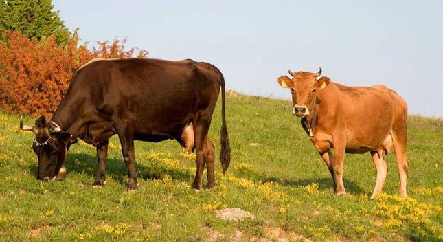 QQ图片20260304102922.png QQ图片20260304102922.png