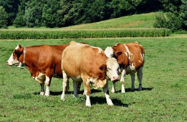 QQ图片20260304102852.png QQ图片20260304102852.png