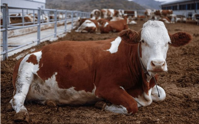 QQ图片20260304102807.png QQ图片20260304102807.png