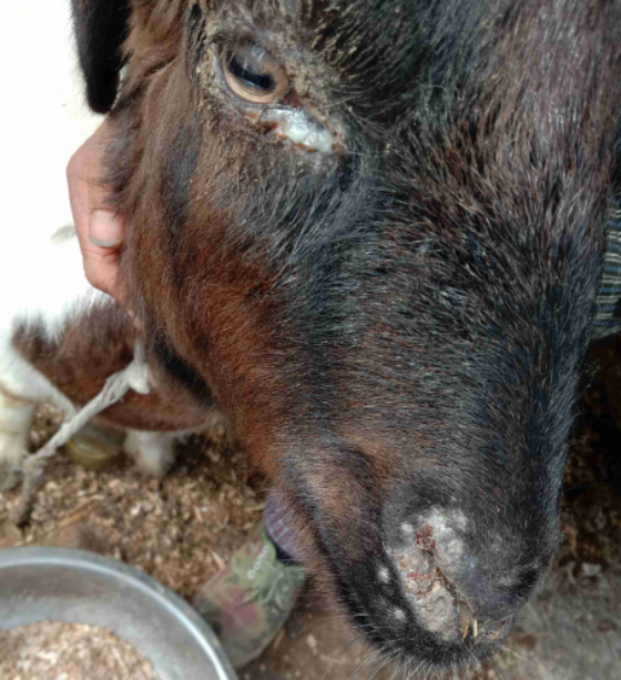 91af5d7e10d38e725e6a73ed208d3b80.png 91af5d7e10d38e725e6a73ed208d3b80.png