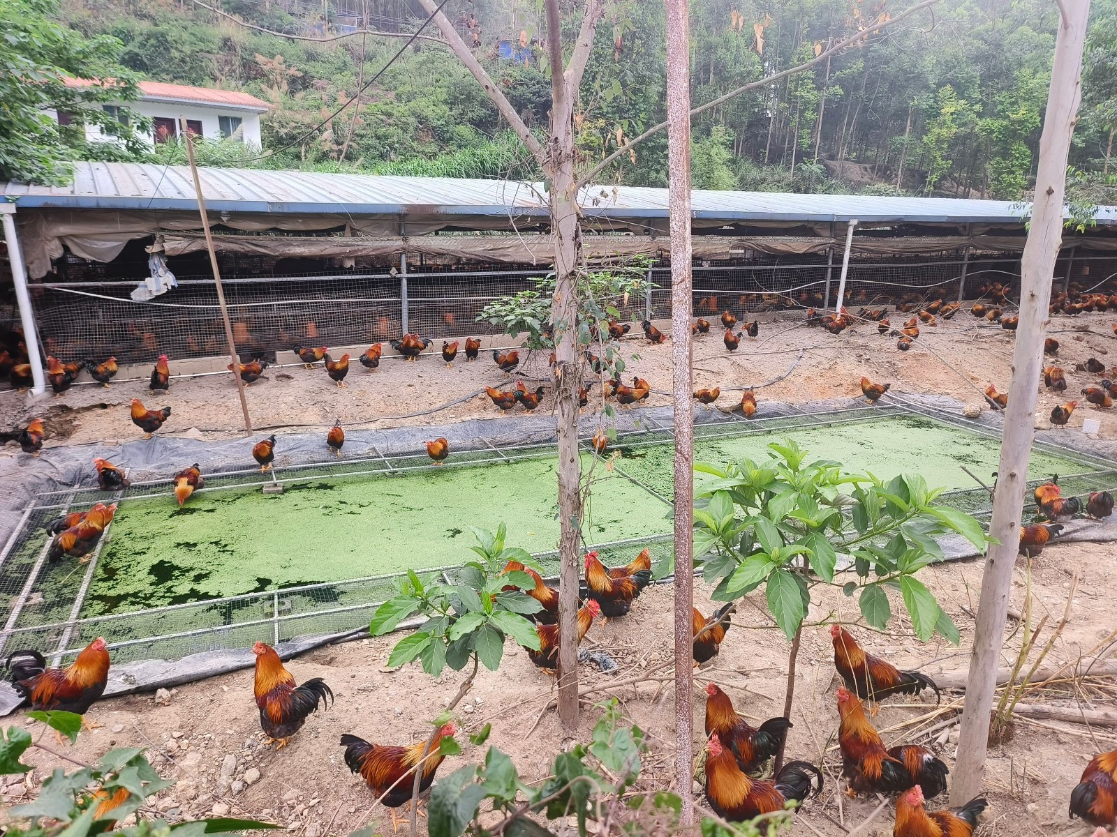 17467655231041989.jpg 17467655231041989.jpg