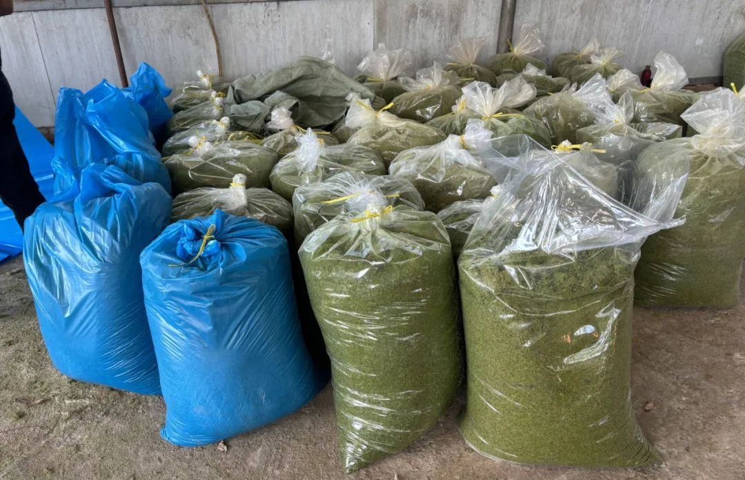 55b426c7e347ceb548744fe7e81d2300_720.png 55b426c7e347ceb548744fe7e81d2300_720.png