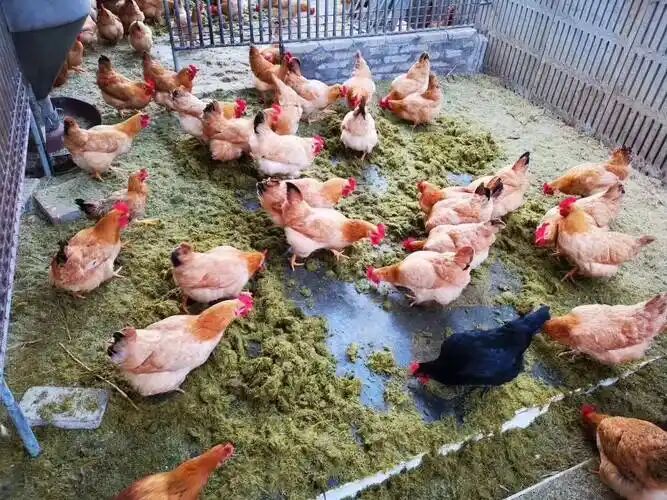 ec0c61adbbba7e456ad3cc54c2fb1209.jpg ec0c61adbbba7e456ad3cc54c2fb1209.jpg