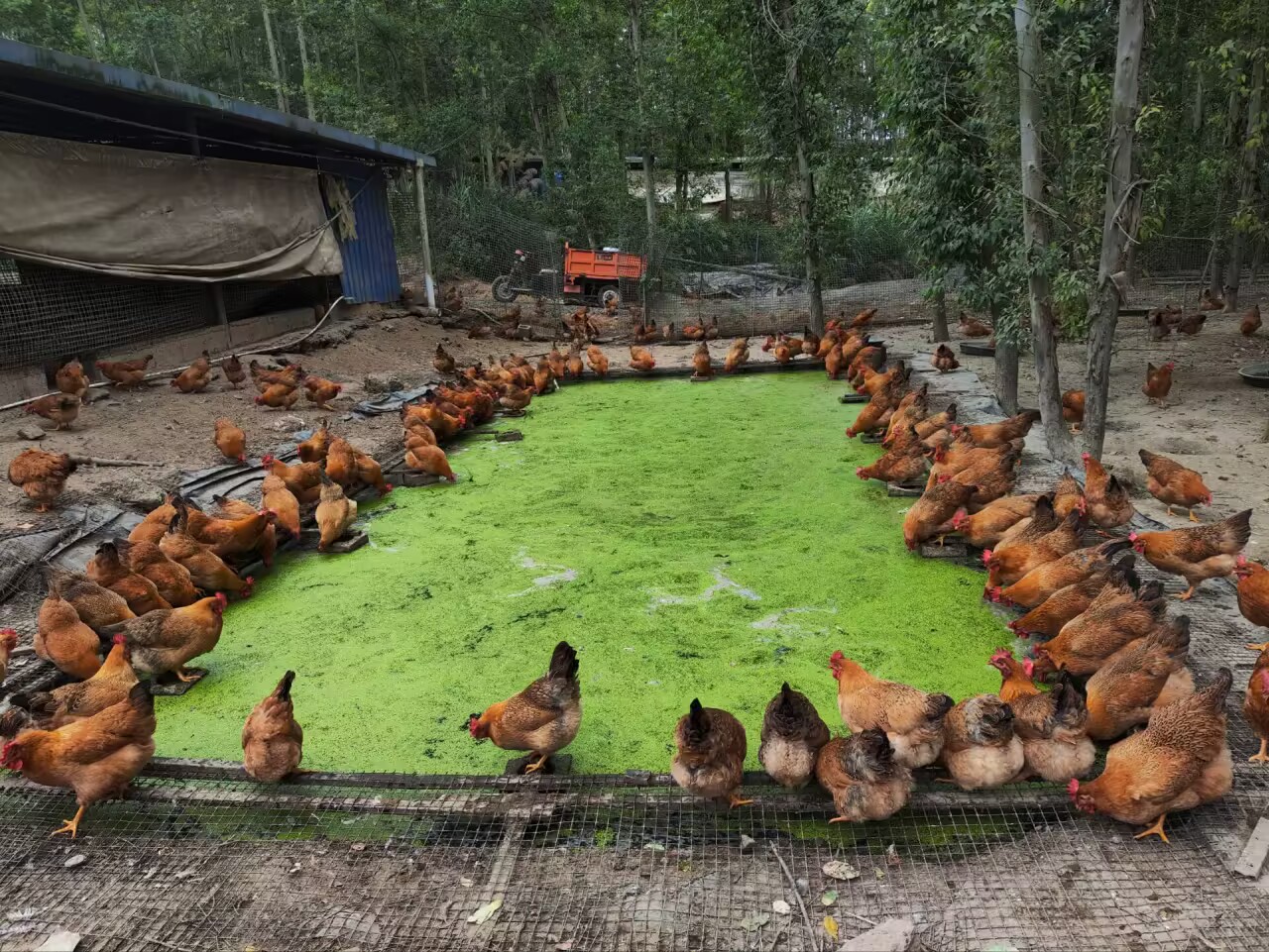 a5d666d0b3d82da5f98da1d40ecfca34_720.jpg a5d666d0b3d82da5f98da1d40ecfca34_720.jpg