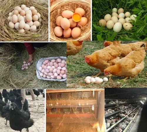 f5b0de97496ac429c642415240c7ba5b.jpg f5b0de97496ac429c642415240c7ba5b.jpg