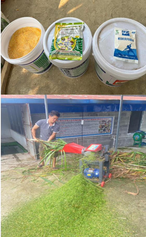 截图20260305091303.png 截图20260305091303.png